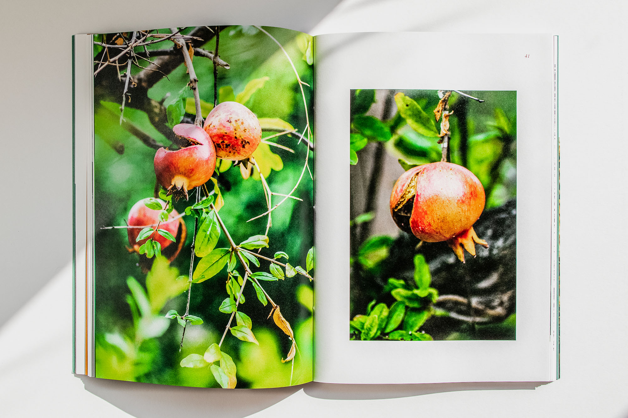 Fotostrecke: Granatapfel übers Jahr